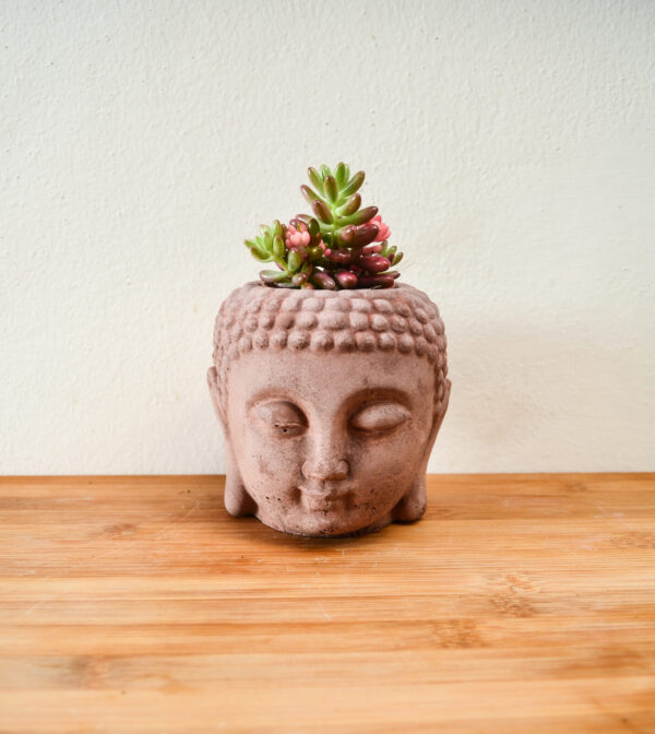 Buddha - immagine 5