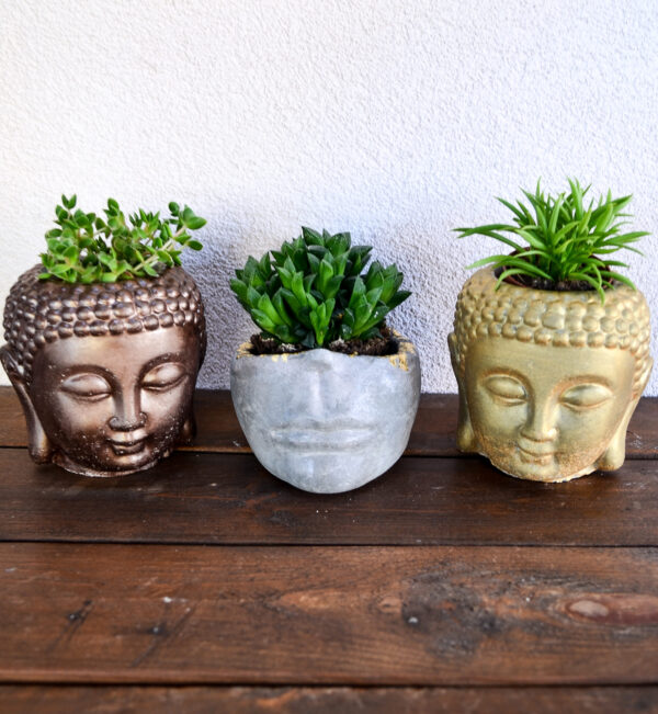 Buddha - immagine 9