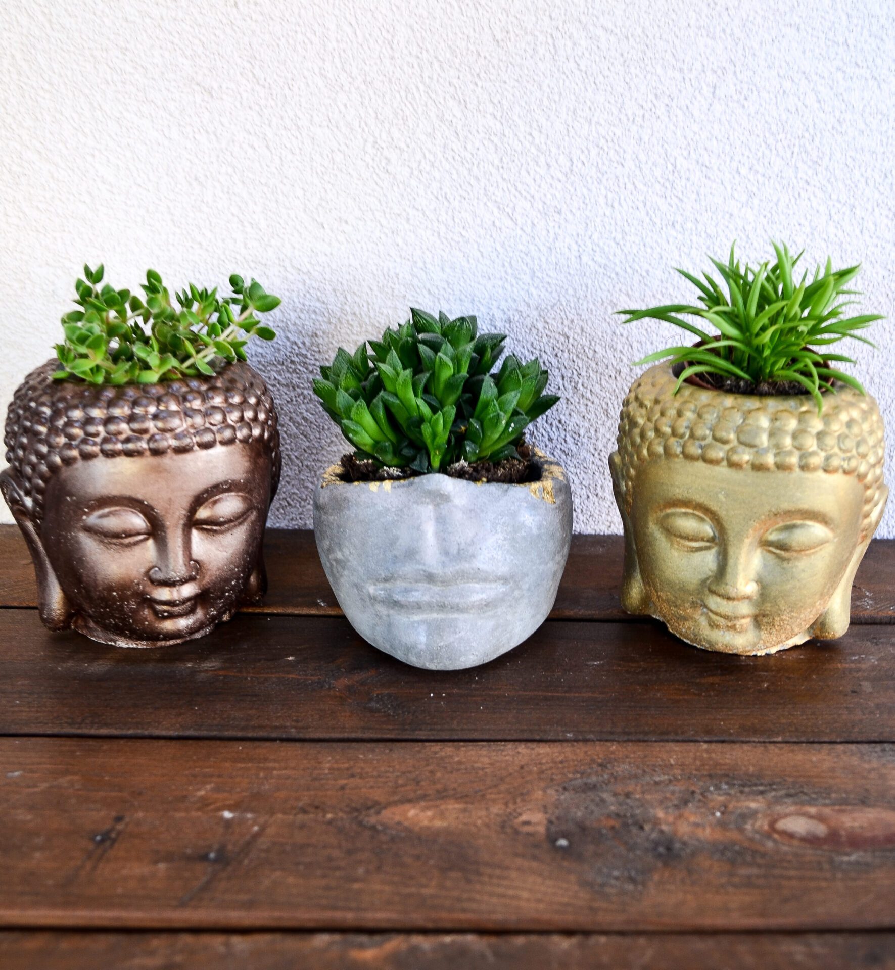 Ad trend Vaso con piantine grasse e Buddha per decorazione d16xh18