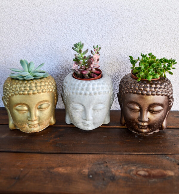 Buddha - immagine 7