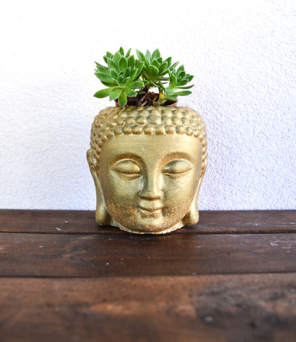 Vaso in cemento buddha oro