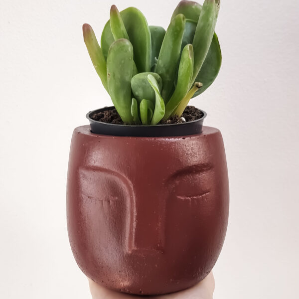 Vaso in cemento faccia rosso Cherry