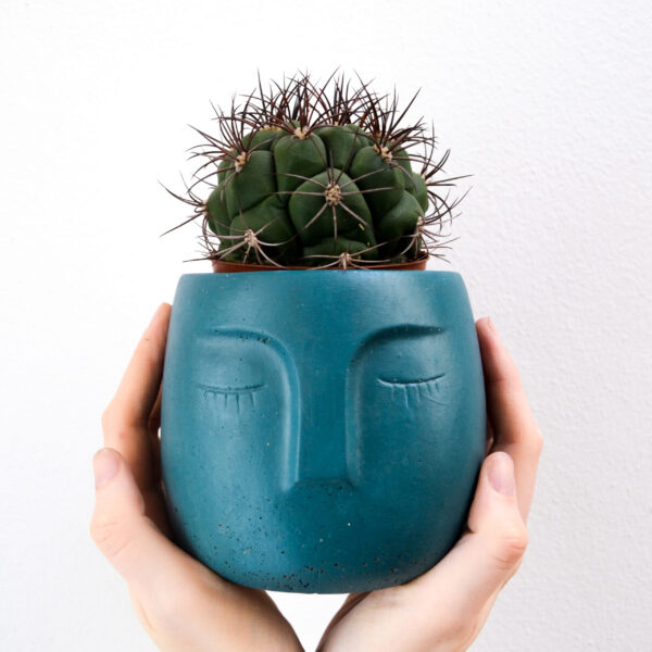 Vaso in cemento faccia blu peacock