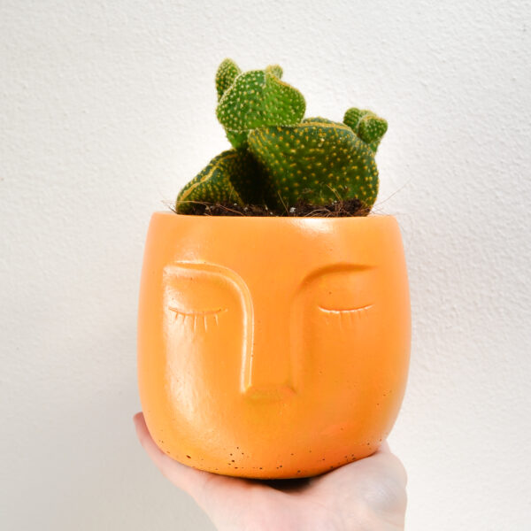 Vaso in cemento faccia arancione Apricot