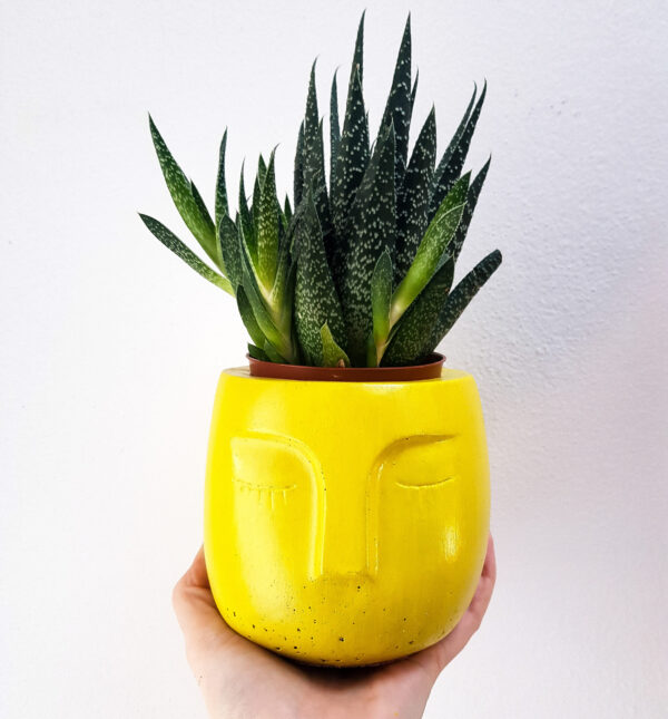 Vaso in cemento giallo Lemon