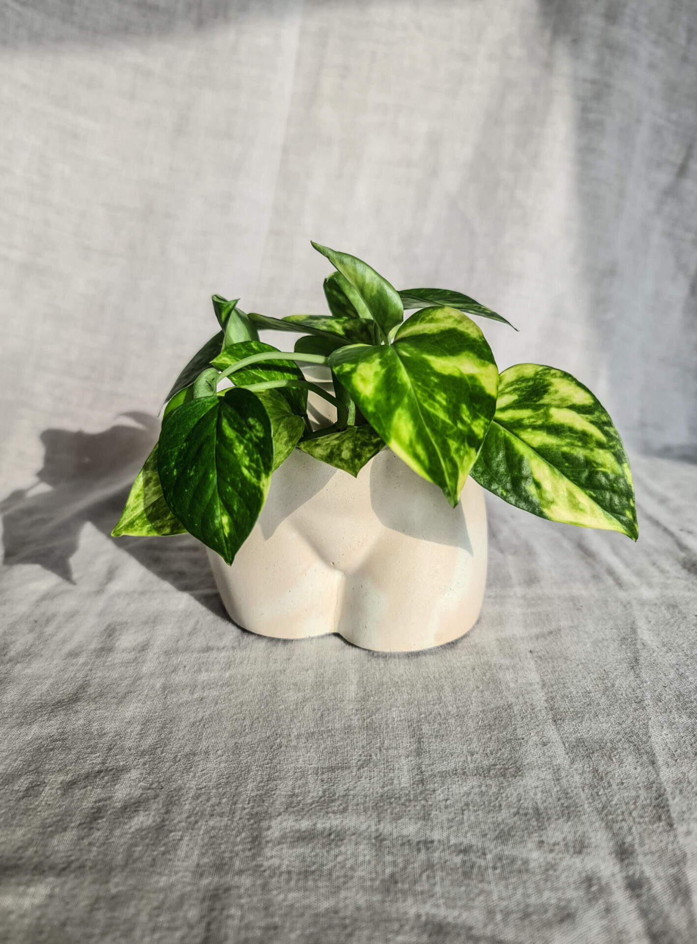 Vaso in cemento culo sedere bianco