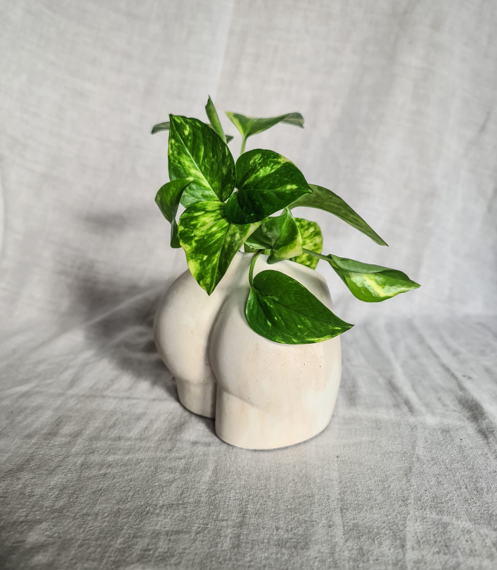 Vaso in cemento culo sedere bianco