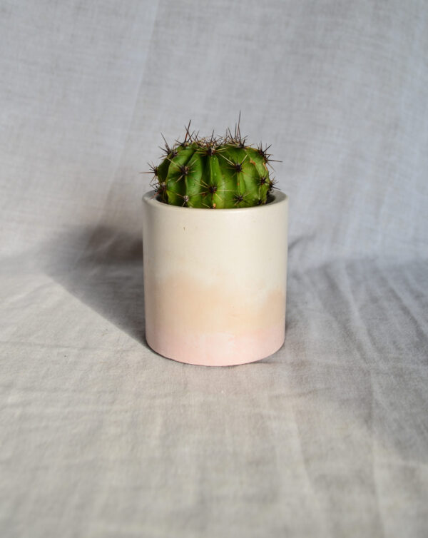 Vaso in cemento bianco rosa paesaggio