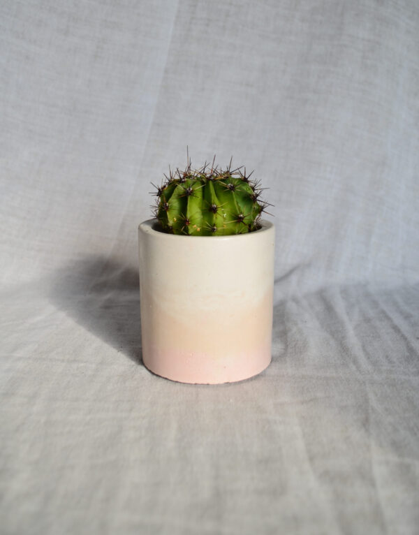 Vaso in cemento bianco rosa paesaggio