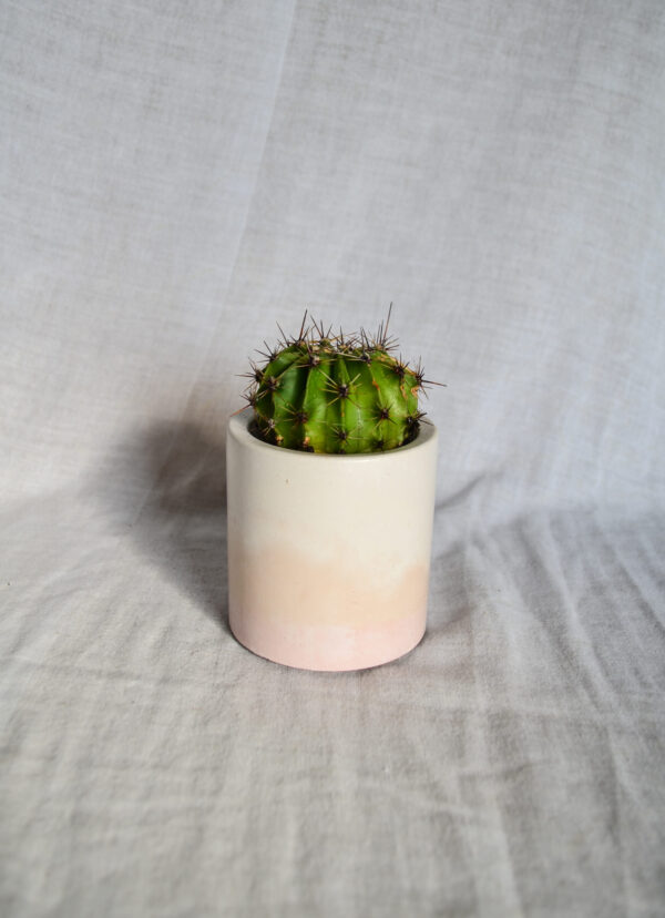 Vaso in cemento bianco rosa paesaggio