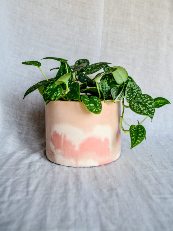 Vaso in cemento bianco rosa paesaggio