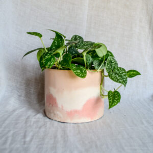 Vaso in cemento bianco rosa paesaggio
