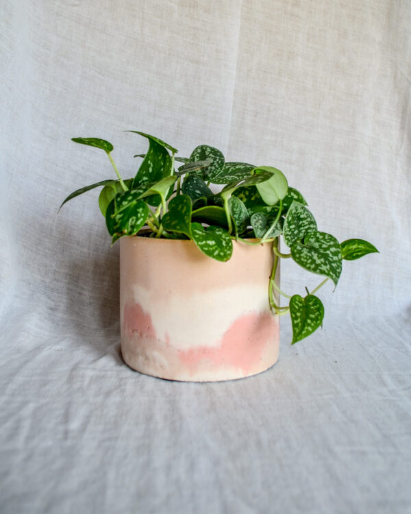 Vaso in cemento bianco rosa paesaggio