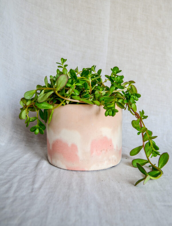 Vaso in cemento bianco rosa paesaggio