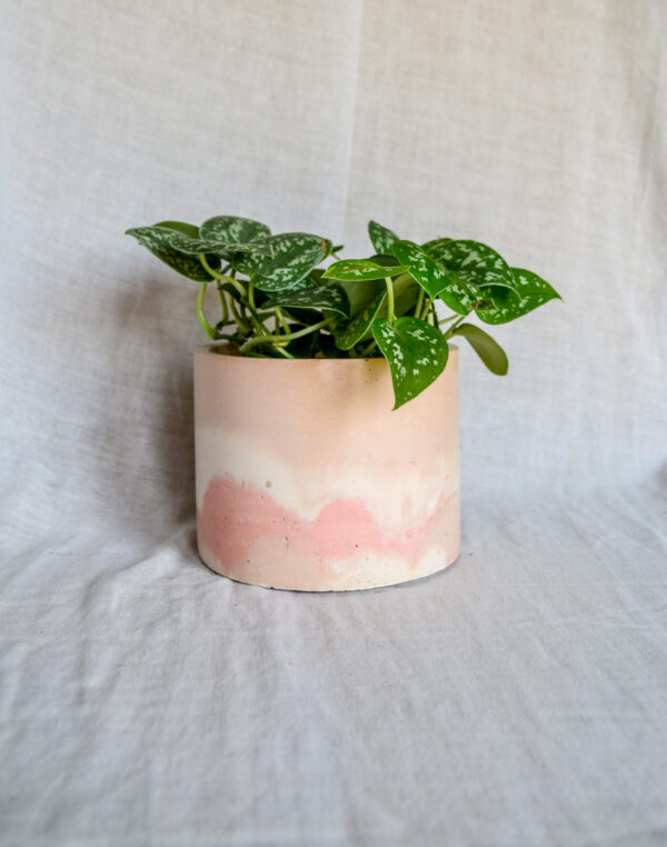 Vaso in cemento bianco rosa paesaggio