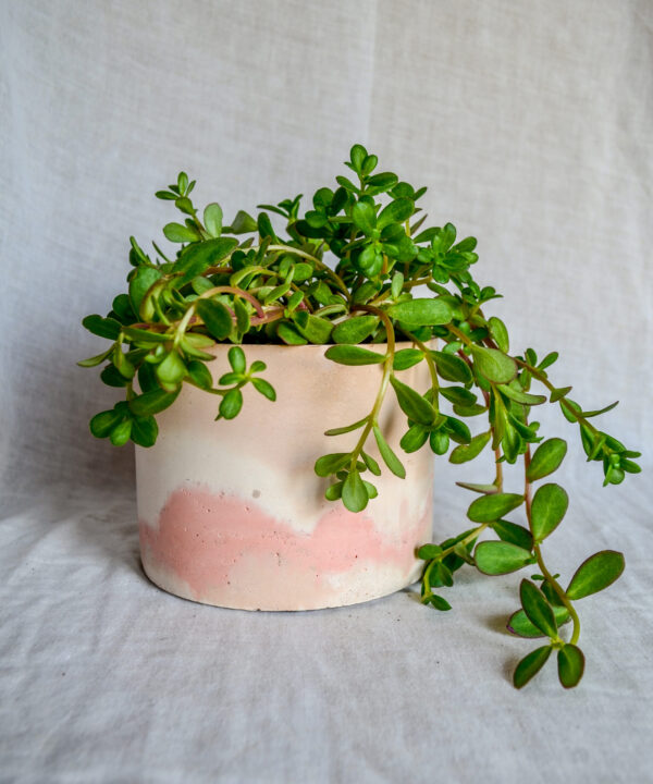 Vaso in cemento bianco rosa paesaggio