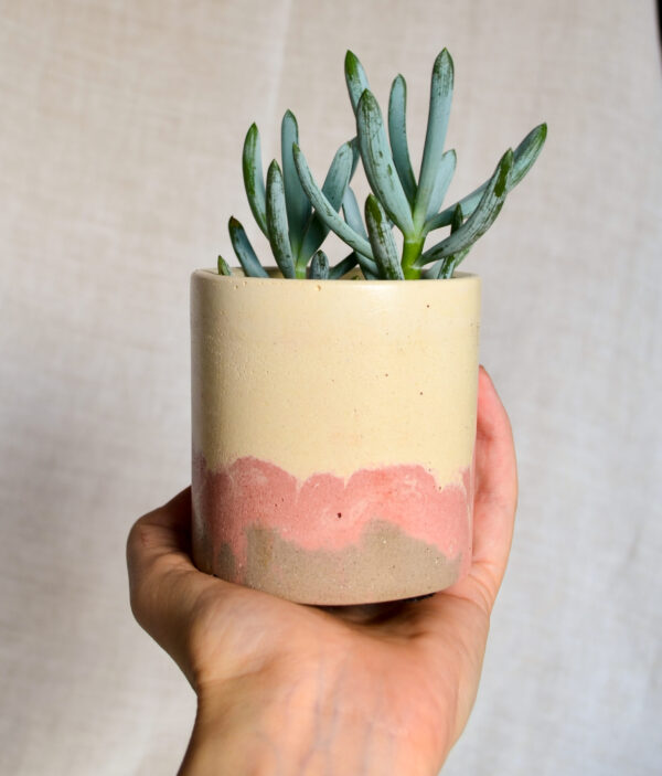 Vaso in cemento bianco rosa paesaggio