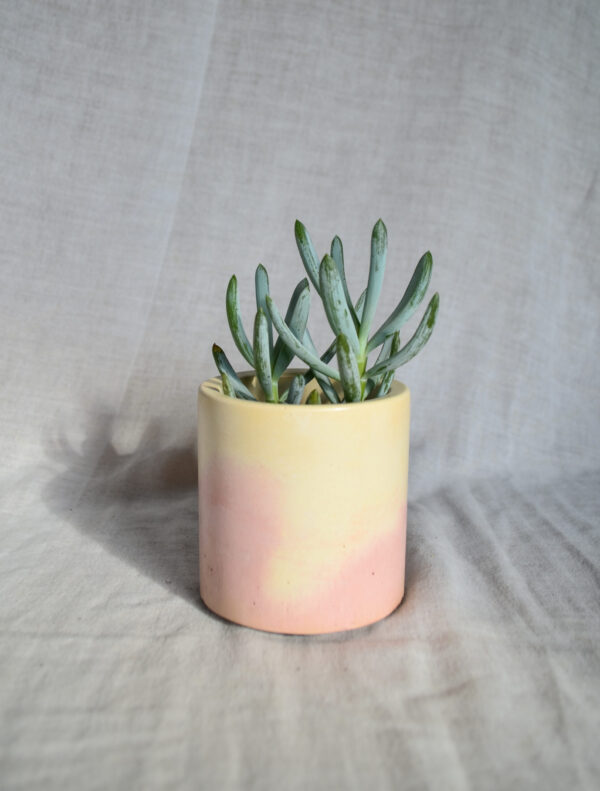 Vaso in cemento bianco rosa paesaggio