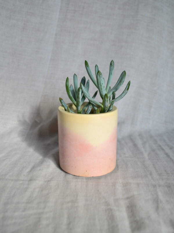 Vaso in cemento bianco rosa paesaggio