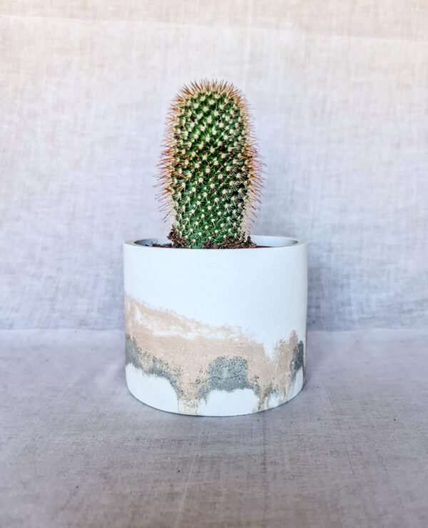vaso in cemento colorato fatto a mano arredamento casa