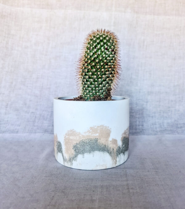 vaso in cemento colorato fatto a mano arredamento casa