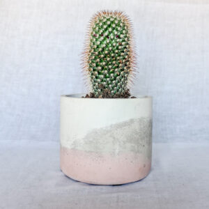 vaso in cemento colorato fatto a mano arredamento casa
