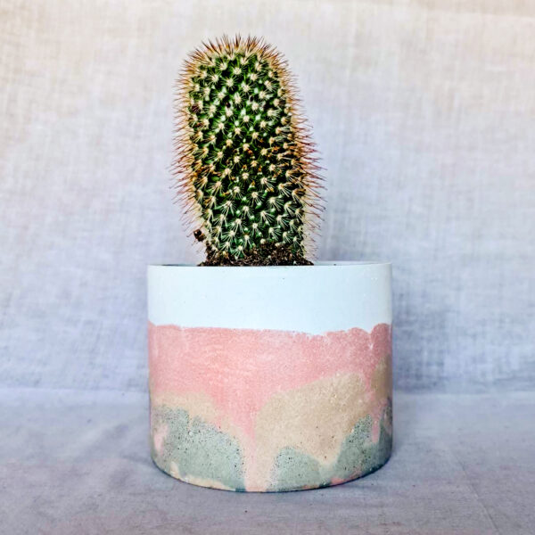 vaso in cemento colorato fatto a mano arredamento casa