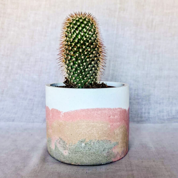 vaso in cemento colorato fatto a mano arredamento casa