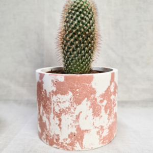 vaso in cemento colorato fatto a mano arredamento casa