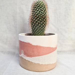 vaso in cemento colorato fatto a mano arredamento casa