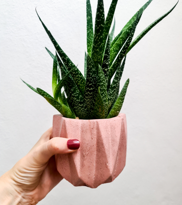Geometrico