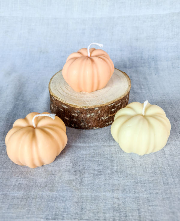 Candele zucca - immagine 4