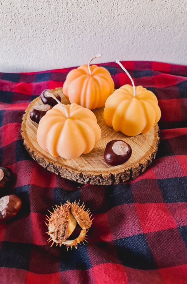 Candele zucca - immagine 3