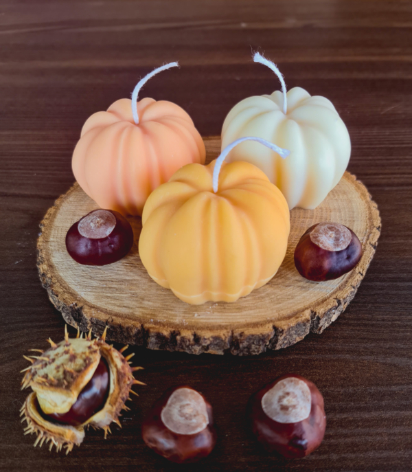 Candele zucca