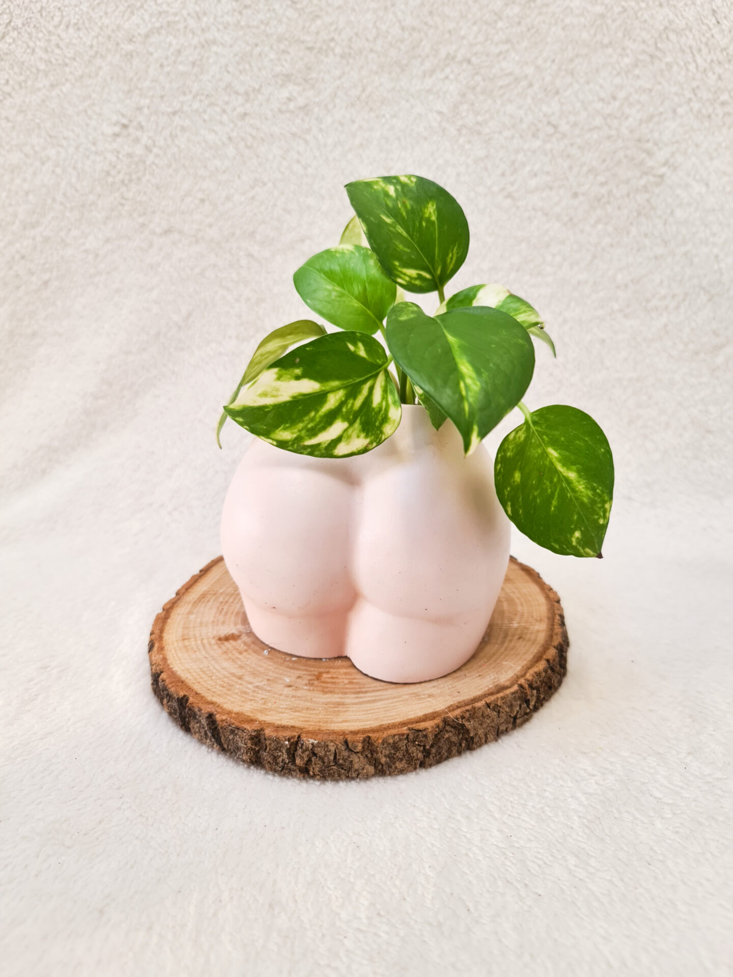 Booty Vase Vaso a Forma Di Sedere Vaso Corpo Umano Vaso per Piante Grasse  Porta Penne Porta Trucchi Vaso Aestetico Vaso Sedere 