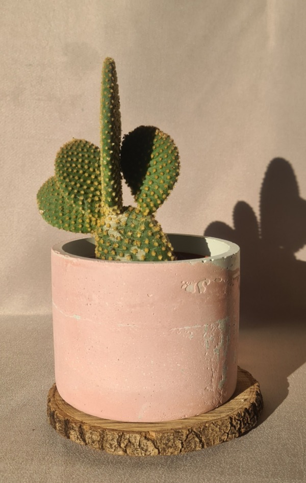 Santa Barbara - immagine 5