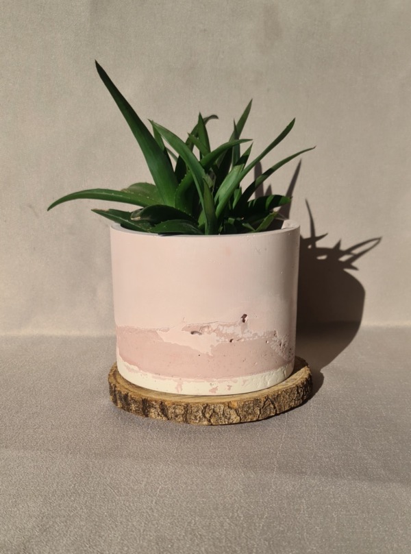Flamingo - immagine 2