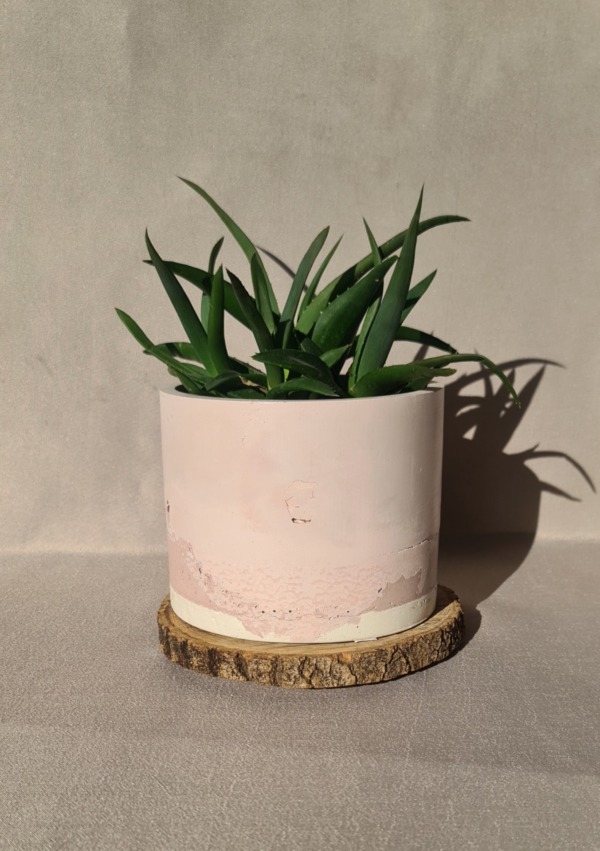 Flamingo - immagine 3