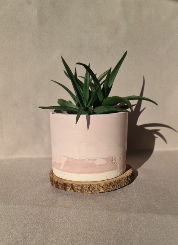Flamingo - immagine 4