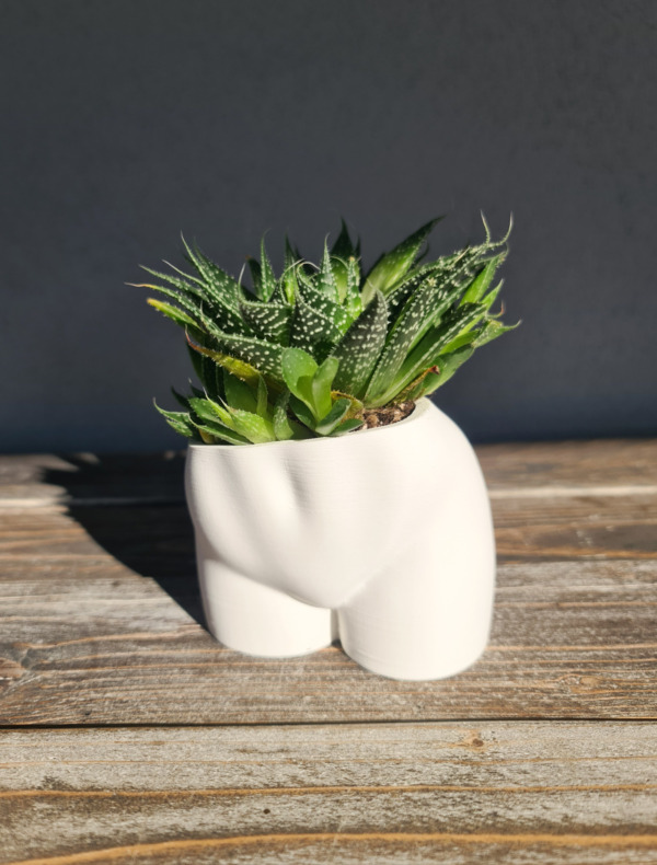 Cheeky pot