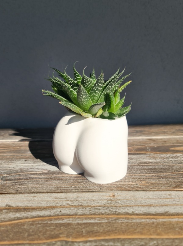Cheeky pot - immagine 2