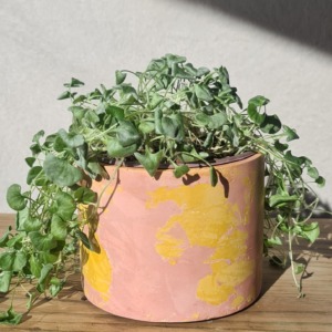 Yellow and Pink
