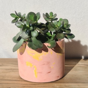Pink and Yellow