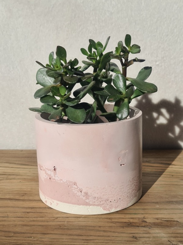 Pink and White - immagine 4