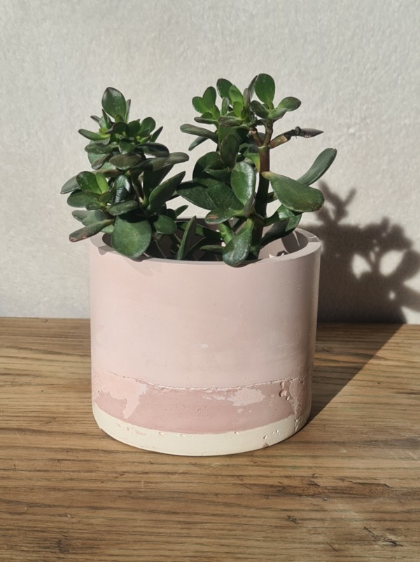 Pink and White - immagine 3