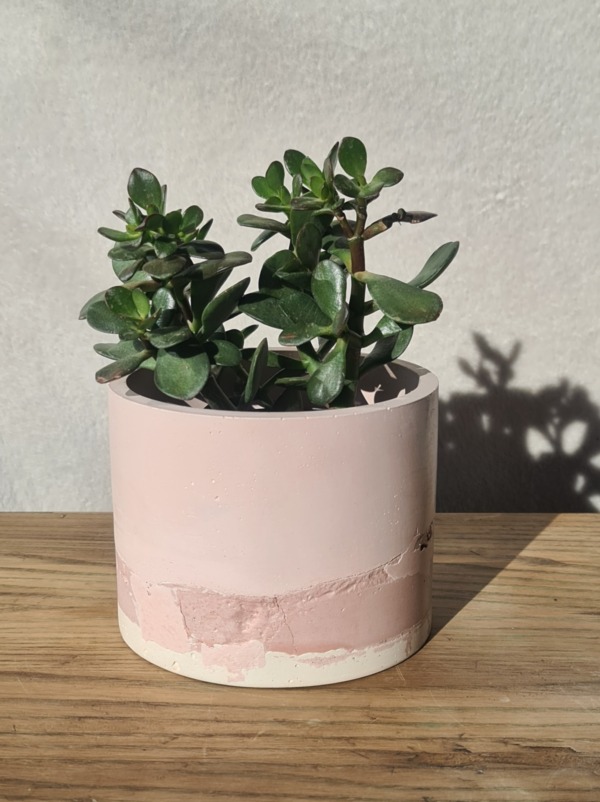 Pink and White - immagine 2