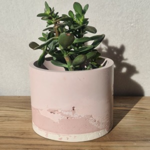 Pink and White