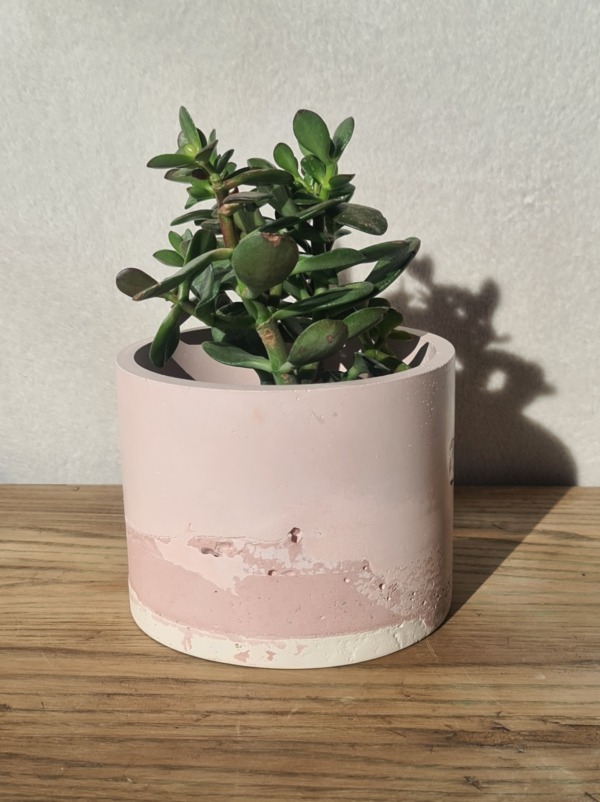 Pink and White