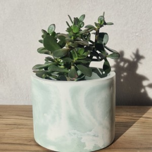 Green and White