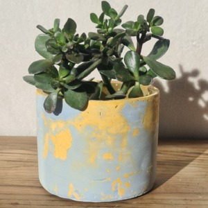Blue and Yellow
